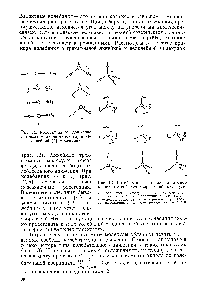 Рис. 13. <a href="/info/12255">Колебательные движения</a> атомов в пятиатомной тетраэдрической молекуле 
