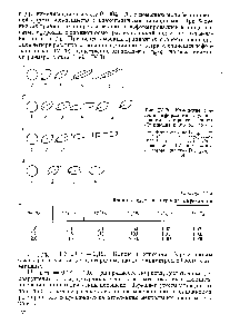 Рис. IV.20. <a href="/info/1178113">Изменение степени</a> деформации с <a href="/info/813839">увеличением скорости</a> сдвига (Румшейдт и Масон, 1961) 