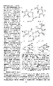 Рис. 12.11. <a href="/info/1891197">Механизм мутагенного действия</a> 2-аминопурина (по Г. Стенту, 1974, с дополнениями). Спаривание 2-аминопурина с цитозином (А) и ТИМИНОМ (Б). Внизу — два <a href="/info/33088">механизма индукции</a> транзиций. В — <a href="/info/103148">ошибка репликации</a>, состоящая в том, что АР включается при репликации (1) на место А, а затем спаривается с С (2) в третьем <a href="/info/1901090">цикле репликации</a> (3)С нормально спаривается с О, и <a href="/info/461013">таким образом</a> завершается переход АТ ОС. Г — <a href="/info/1386504">ошибка включения</a>, состоящая в том, что АР спаривается с С (I), а затем нормально спаривается с Т (2) в третьем <a href="/info/1901090">цикле репликации</a> Т спаривается с А, и <a href="/info/461013">таким образом</a> завершается переход ОС АТ