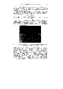 Рис. 10.30. <a href="/info/136246">Теневая фотография</a> околозвукового обтекания единичного профиля при Мг < 1,0 (М] = 0,87)