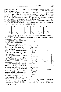 Фиг. 13. Тринуклеотид, содержащий основания К1, Кг и Нз. Показаны развернутая (А) и сокращенная (Б) формулы.