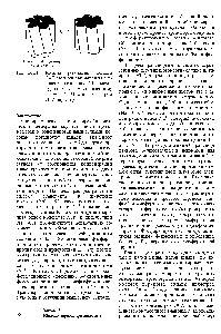 Рис. 36.31. <a href="/info/1403072">Модель регуляции</a> <a href="/info/263303">ионами степени</a> закрывания щелевого соединения. (По рисунку, любезно предоставленному д-ром N. Unwin и д-ром G. Zampighi.)