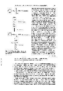 Рис. 19-10. Образование <a href="/info/188278">фенилпирувата</a> на <a href="/info/33347">альтернативном пути</a>, действующем при фенилкетонурии.