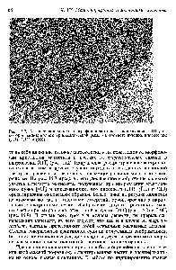 Рис. 15.7. Увеличенная <a href="/info/484399">микрофотография кристалла</a> в направлении [011], на которой видны <a href="/info/749937">полосы кристаллической</a> решетки, соответствующие плоскостям (111), (111) и (200).