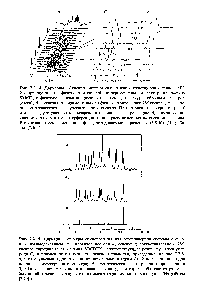 Рис. 7.2.14. Двумерный 7-спектр <a href="/info/1861500">системы сильно взаимодействующих</a> спинов АВС 2-хлортиофена. а — фазочувствительный <a href="/info/1580062">экспериментальный спектр</a> на частоте 80 МГц с фазочувствительной проекцией на ось оц (вверху) и <a href="/info/1882802">обычным спектром</a> (слева) б — сечения экспериментального фазочувствительного 2М-спектра в — сечения теоретического <a href="/info/250447">фазочувствительного спектра</a>. При <a href="/info/250538">сравнении спектров</a> на рис. б и в не следует учитывать дисперсионные пики в спектре на рис. б, поскольку они являются результатом интерференции линий, расположенных на соседних сечениях. Все сигналы имеют <a href="/info/331393">смешанные фазы</a>, определяемые выражением (6.5.10). (Из работы [7.30].)