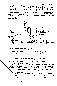 Рис. 145. <a href="/info/1825327">Схема производства азотнокислого аммония</a> с использованнем тепла