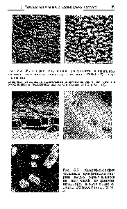 Рис. 3.9. Микрофотографии отдельных кристалликов <a href="/info/1942">хлорида натрия</a>, образовавшихся на <a href="/info/93820">внутренней поверхности</a> капилляров, изготовленных из стекла UNIHOST (а) и PN (б, в).