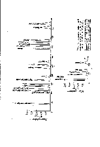 Рис. 4. Хроматографический анализ аминокислот по Спекману, Штейну и Муру [5].