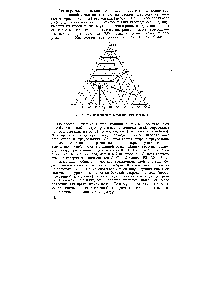 Рис. 46. <a href="/info/923203">Равносторонний треугольник</a> концентраций