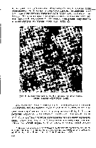Рис. 3. Фотография <a href="/info/22247">ацетиленовой сажи</a> в <a href="/info/12327">электронном микроскопе</a>, заметна структура сажи.