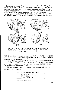 Рис. 78. Схематическое изображение анионов кислородных кислот хлора (сбоку показано расположение атомов С1 и О в кристаллических решетках)
