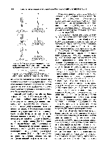 Рис. 13.1. <a href="/info/19560">Схема методов</a> микроинъекций (а) и прокалывания (б), обеспечивающих <a href="/info/199827">введение чужеродных</a> молекул ДНК в клетки животных 