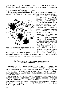 Рис. 17. <a href="/info/183975">Кристаллы перманганата</a> аконитина.