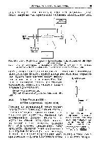 Рис. 24.2. Схема устройства газового хроматографа, использующегося для <a href="/info/692959">обращенной газовой</a> хроматографии.