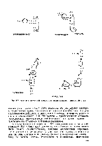 Рис. 103. Антибиотики — ингибиторы пептидилтрансферазного <a href="/info/19659">центра</a> рибосомы
