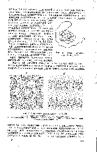 Рис. 4. <a href="/info/74803">Модель молекулярной</a> мицеллы .