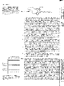 Рис. 9-17. <a href="/info/1496077">Типичный пример</a> плазмиды, содержащей <a href="/info/1324382">точку начала репликации</a> вируса SV40, после инкубации с Т-антигеном, белком, связывающимся с <a href="/info/1382180">одноцепочечными молекулами</a> (SSB-белок) и АТР (задача 9-20).