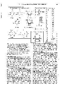 Рис. 3-11. Первичные биомолекулы, играющие роль <a href="/info/1715351">основных строительных</a> блоков, представляют <a href="/info/1795776">собой</a> как бы буквы биохимического алфавита. На этом рисунке показаны 20 аминокислот (А), из <a href="/info/1780163">которых построены</a> белки всех организмов, пять <a href="/info/70316">азотистых оснований</a> и два пятиуглеродных сахара (Б), входящих в состав всех <a href="/info/548">нуклеиновых кислот</a>, основные <a href="/info/100881">строительные блоки липидов</a> (В) и а-О-глюкоза (Г) - родоначальник большинства углеводов.