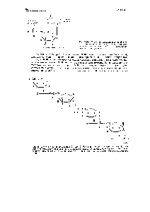 Рис. 25.16. Структура дезоксиадениловой кислоты-нуклеотида, состоящего из остатков <a href="/info/6866">фосфорной кислоты</a>, дезоксирибозы и <a href="/info/20126">органического основания</a> аденина.