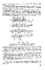 Рис. 7.46. <a href="/info/707019">Межпакетный водный слой</a> в структуре монтмориллонита (по Хендриксу и Джефферсону).