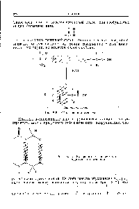 Рис. 8,22. <a href="/info/1038770">Водородные связи между</a> пептидными группировками.