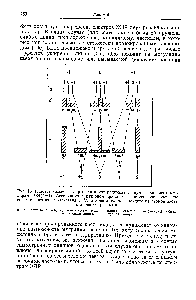 Рис. 15. Гипотетические спектры для <a href="/info/31048">анион-радикала</a> с двумя <a href="/info/136044">эквивалентными ядрами</a> N(/=1). Ассоциация с катионом приводит к <a href="/info/1827395">изменению константы сверхтонкого взаимодействия</a> с N, и константы для каждого из атомов азота