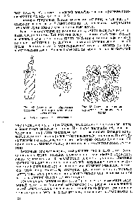 Рис. 42, Схематичное изображение третичной структуры макромолекулы белка 