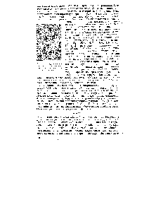 Рис. 61. Вид дислокационных ямок травления на поверхности (111) кремния