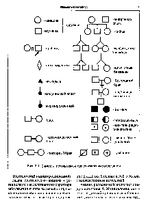 Рис. 2.1. Символы, используемые при составлении родословной