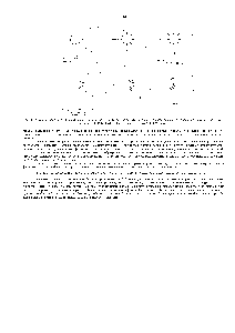 Рис. 6-85. <a href="/info/122821">Схема эксперимента</a>, свидетельствующего о том, что фагоцитоз осуществляется путем застегивания мембран по принципу застежки-