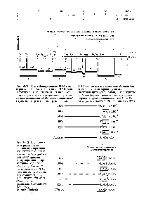 Рис. 12.11. Идентифицированные РНК-тран-скрипты <a href="/info/509747">комплементарных цепей</a> ДНК человеческого митохондриального генома. <a href="/info/628972">Кольцевая карта</a> генома линеаризована по <a href="/info/1324382">точке начала репликации</a> ДНК. <a href="/info/834574">Обозначения цепей</a> отражают направление их транскрипции.