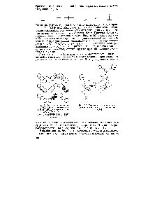 Рис. 19. <a href="/info/463212">Расположение молекул</a> бензола в <a href="/info/478755">элементарной ячейке кристаллической решетки</a> бензола [2].