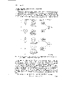 Рис. 3-17. <a href="/info/12322">Молекулярные орбитали</a> иона и их корреляция с <a href="/info/1197">атомными орбиталями</a> в разделенном и объединенном атомах [43].