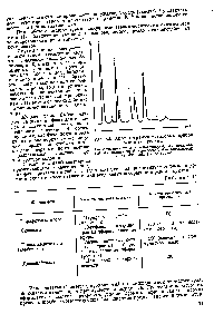 Рис. 30. <a href="/info/747221">Хроматограмма метиловых эфиров жирных</a> кислот 