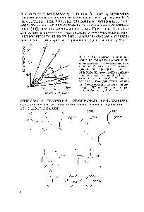 Рис. 9. <a href="/info/707600">Кинетические кривые накопления</a> <a href="/info/62718">продуктов окисления</a> циклогексанона 1 — моноальдегид <a href="/info/59037">адипииовой кислоты</a> 2—а-кето-циклогексилгидроперекись 3 — е-капролактон 4— 1,2-<a href="/info/733582">циклогексан-дион</a> и циклогексанол-2-он-1 5 — <a href="/info/959">глутаровая кислота</a> 6 — <a href="/info/11665">окись углерода</a> 7 — <a href="/info/826">адипиновая кислота</a> 8 — <a href="/info/158108">двуокись углерода температура</a> 120°, концентрация <a href="/info/54225">стеарата кобальта</a> 1,44-10 моль/л
