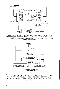 Рис. 12. Электрическая эквивалентная схема ячейки для <a href="/info/183528">измерения электропроводности</a>, включающая активные и <a href="/info/1411958">емкостные составляющие</a>, отвечающие <a href="/info/911218">элементам схемы</a> и электрохимическим процессам [7].