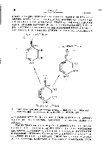 Рис. 13.51. <a href="/info/92300">Молекулярные диаграммы</a> <a href="/info/684240">молекулы фенола</a> в основном ( о) и возбужденных (5ь Г]) состояниях, полученные методом ОКВ ССП.