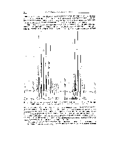 Рис. 113. Пики метастабильных ионов в спектре гептадекан — воздух. В <a href="/info/1664528">спектре наблюдалось</a> 16 пиков, соответствующих метастабильным переходам.