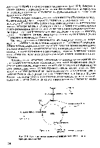 Рис. 12.9. Пути биосинтеза заменимых аминокислот. ЦТК — <a href="/info/1343">цикл трикарбоновых</a> кислот