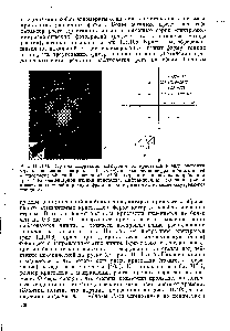 Рис. III.106. <a href="/info/1893546">Картина дифракции электронов</a> от кристалла в виде оперения стрелы, показанного на рис. III.111, б (а), и обозначение дифракционных пятен в <a href="/info/1491205">плоскости обратной решетки</a> а —с (б). Стрелками показаны направления трех осей <a href="/info/294493">элементарной ячейки кристалла</a>. Дифракционные кольца на рис. а представляют <a href="/info/1795776">собой</a> <a href="/info/1054767">картину дифракции</a> золота, взятого в <a href="/info/875447">качестве внутреннего</a> стандарта.