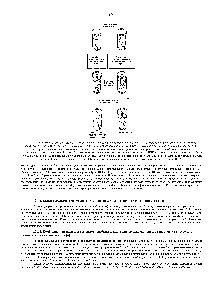 Рис. 10-4. <a href="/info/95593">Схема стандартного</a> <a href="/info/1099966">метода выявления</a> <a href="/info/477601">радиоактивно меченных</a> молекул РНК, имеющих <a href="/info/1302005">определенную нуклеотидную последовательность</a>. В том случае, если молекулы РНК могут образовать гибридный РНК/ДНК дуплекс с од-ноцепочечным фрагментом ДНК, используемым в <a href="/info/1684363">качестве специфического</a> зонда, эти молекулы остаются неповрежденными в процессе <a href="/info/1409116">нуклеазной</a> обработки и легко обнаруживаются по <a href="/info/33082">радиоактивной метке</a>. В экспериментах, описанных в тексте, очищенные сегменты ДНК. соответствующие <a href="/info/1549490">разным генам</a>, были получены с <a href="/info/1345807">помощью клонирования</a> молекул кДНК, которые, в свою очередь, были <a href="/info/1822927">синтезированы путем</a> <a href="/info/33537">обратной транскрипции</a> суммарной мРНК
