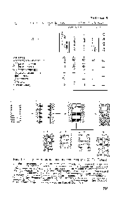 Рис. 90. <a href="/info/293065">Структура биологических</a> мембран (по X. Ти Тьену).