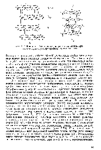 Рис. 1.22. Фрагменты <a href="/info/332195">бесконечных графов</a>, описывающих <a href="/info/2548">кристаллическую структуру</a> графита (а) и алмаза (б).
