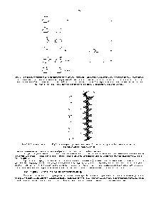 Рис. 2-4. Одиннадцать дисахаридов, построенных из <a href="/info/1696521">двух</a> остатков В-глюкозы Хотя <a href="/info/503132">разница межд</a>> ними состоит лишь в <a href="/info/722748">тине связи между</a> двумя остатками глюкозы, в <a href="/info/50739">химическом отношении</a> они различны. Олигосахариды, связанные с белками и липидами, могут включать в себя шесть и более <a href="/info/165983">разных видов</a> Сахаров, которые имеют как линейное, так и разветвленное строение благодаря связям, подобным тем, которые показаны на