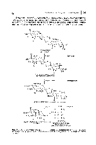 Рис. 34.1. <a href="/info/1838410">Последовательность реакции окисления</a>, метилирования и гидролиза, показывающая, что (+)-мальтоза представляет <a href="/info/1795776">собой</a> 4-0-(а- о-глюкопиранозил)-о-глюкопи-ранозу.