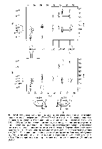 Рис. 8.5.8. <a href="/info/122582">Гетероядерные корреляционные</a> протон-углеродные спектры с <a href="/info/122902">эстафетным переносом когерентности</a> / - / - X смеси а- н, 8-<a href="/info/108742">аномеров глюкозы</a>. а —спектр, <a href="/info/28393">полученный</a> без подавления соседних сигналов соседние фрагменты СН — СНт могут быть ндентнфнцированы, поскольку на вершинах прямоугольников в <a href="/info/135362">частотном пространстве</a> появляются соответствующие сигналы (штриховые линии для а-глюкозы, сплошные линнн для, 8-аномера). Кружки обозначают места ожидаемых эстафетных сигналов, которые отсутствуют из-за невыполнения условия т = ( /) б — подавление сигналов от соседних протонов (эллипсы, обведенные <a href="/info/393832">штриховой</a> линией), полученное с помошью 7-фнльтра низких частот (см. разд. 8.5.4). Оба спектра получены в представлении абсолютных <a href="/info/679869">значений</a>. (Из работы [8.42].)