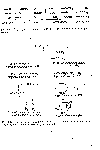 Рис. 7.26. Структуры и <a href="/info/1553382">сокращения Основных</a> полярных фосфоглицеридов (Н1 и Нз обозначают остатки жирных кислот).
