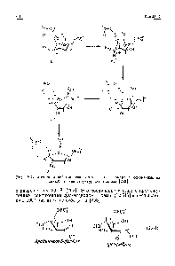 Рис. 12.14, <a href="/info/470705">Механизм действия</a> глюкозо-6-фосфат—<a href="/info/36989">изомеразы</a>, <a href="/info/2608">основанный</a> на данных рентгеноструктурного анализа [252].