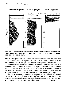 Рис. 1.11. <a href="/info/1177938">Распределение растворенного</a> метана, метаногенной и метанотрофной активности в одном из болот таежной зоны. Штриховкой показан уровень зеркала воды (по Н. С. Паников, 1995).