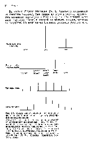 Рис. 2.5. Схема, иллюстрирующая возннкновенне фенотипической изменчивости при корпускулярной наследственности.